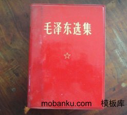 善于用《毛选》的思想指导网站推广