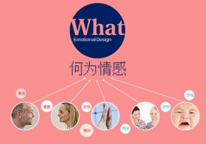 唐纳德·A·诺曼谈情感化设计